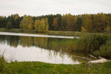 Orman, nehir ve sonbahar doğasının yansıması.
