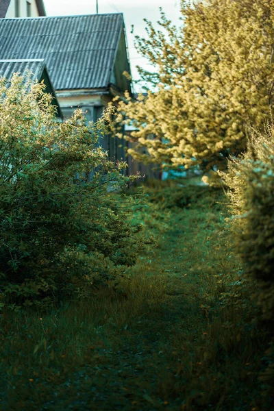 村庄街道 有房子 篱笆和日落时的小径 — 图库照片