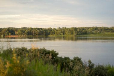 Gün batımında yeşil ormana bakan nehir.