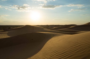Kum tepeciğindeki sarı kum, küçük bitki örtüsü ve güneş.