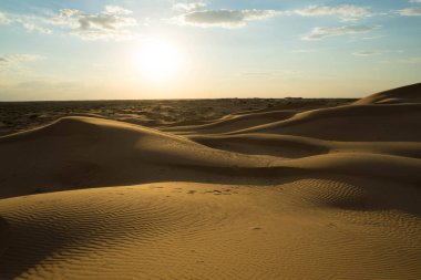 Kum tepeciğindeki sarı kum, küçük bitki örtüsü ve güneş.
