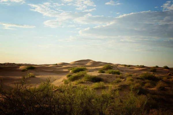 Žlutý písek na duně s malou vegetací a na slunci — Stock fotografie