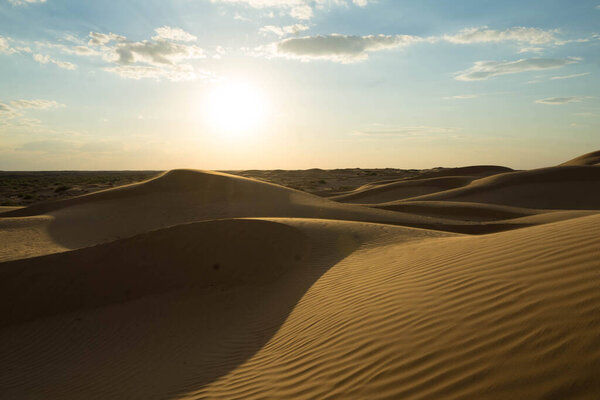 yellow sand on a dune with small vegetation and in the sun