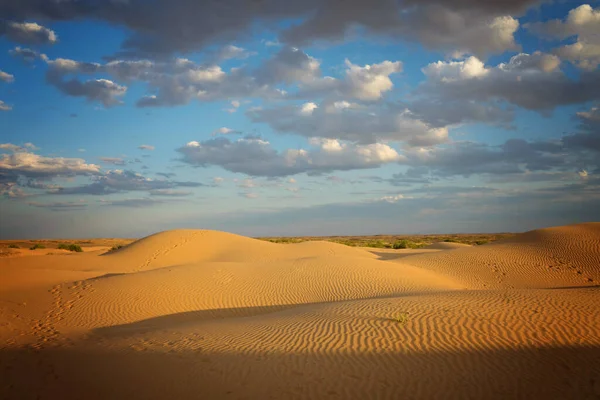 Arena amarilla en una duna con vegetación pequeña y al sol — Foto de Stock