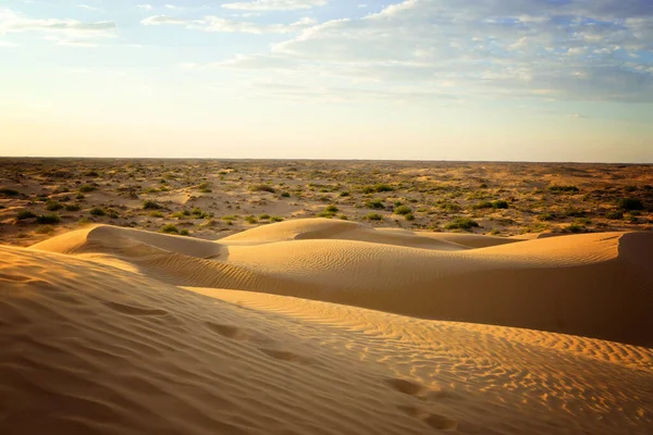 Žlutý písek na duně s malou vegetací a na slunci — Stock fotografie