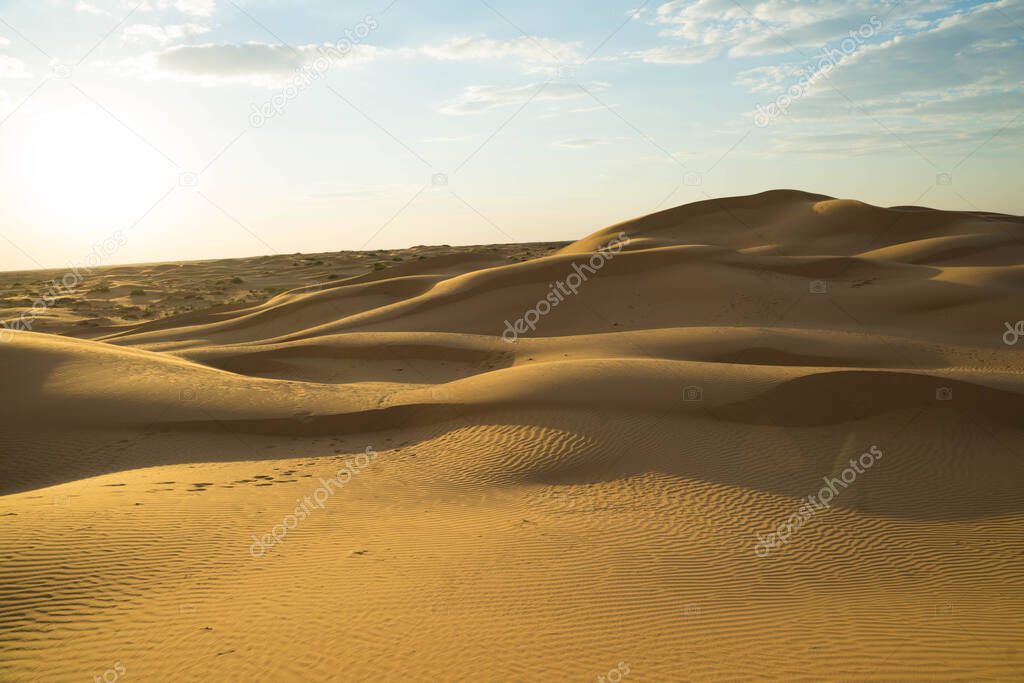 yellow sand on a dune with small vegetation and in the sun