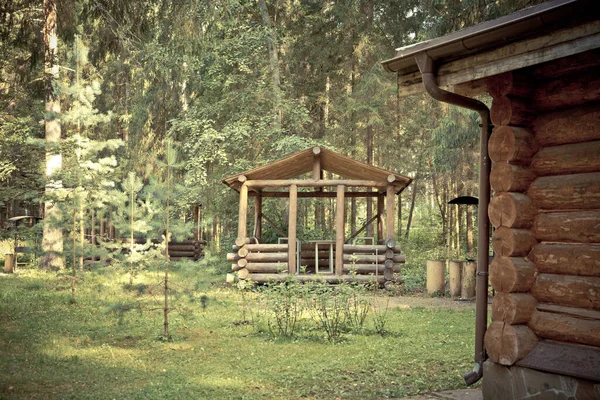 Casas de madera en el bosque sobre un fondo de vegetación — Foto de Stock