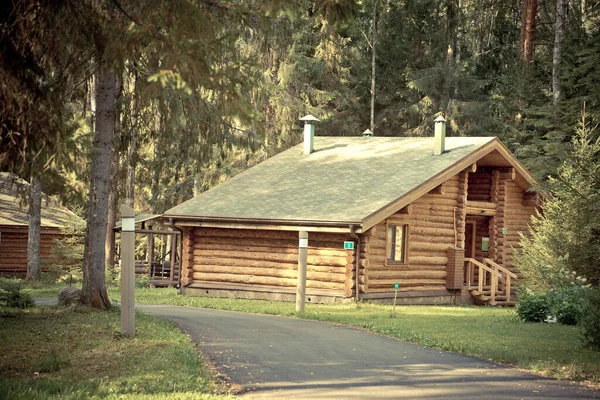 Casas de madera en el bosque sobre un fondo de vegetación — Foto de Stock