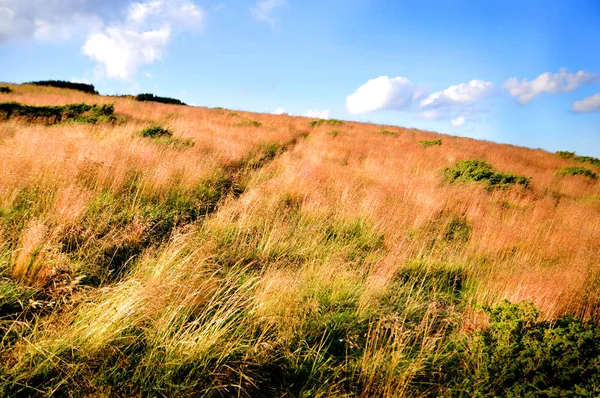 Paisaje Otoñal Las Montañas —  Fotos de Stock