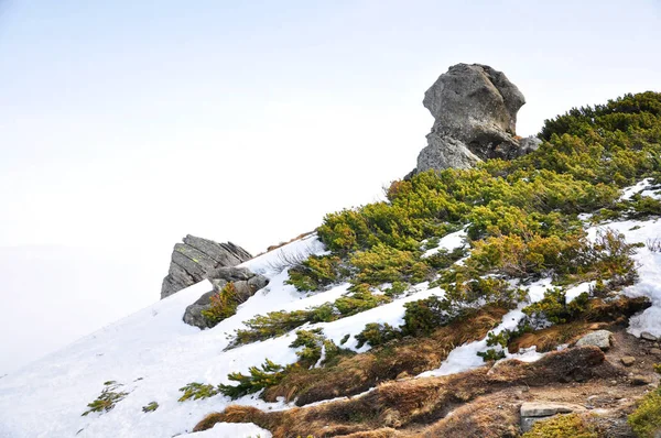 Montagna Coperta Neve Sotto Neve Visibile Erba Verde — Foto Stock