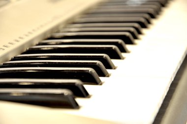 beyaz ve siyah sentetik anahtarlar