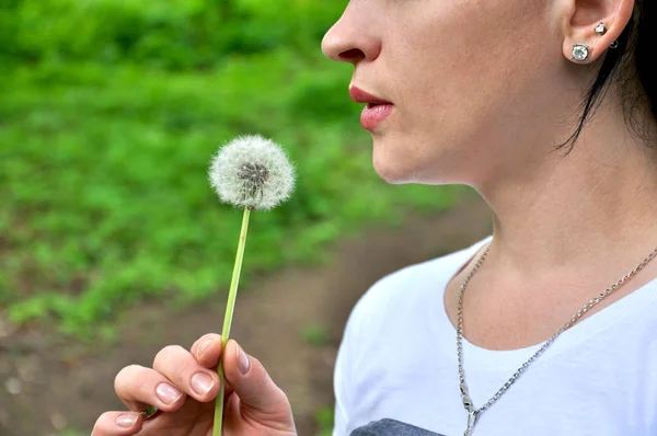 Mujer Sostiene Planta Diente León Mano Trata Soplar Sobre — Foto de Stock