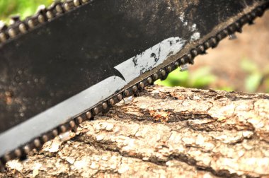 testere yerde yatan bir kütüğü keser. Zincir döner