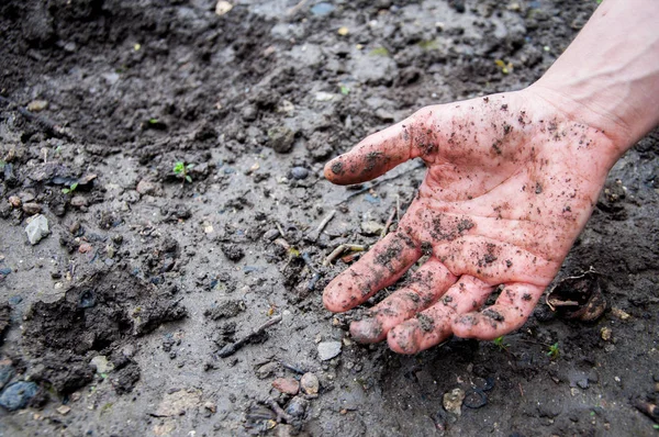 outstretched hand in the mud. Dirty in the ground in the swamp