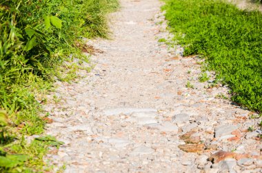 dar taşlı yol. Yeşil çimenler her iki tarafta da yetişir. Yaz günü.