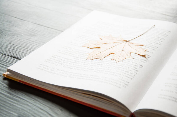 An open book is on the table. On a dark background. Close-up. Maple Leaf as a bookmark