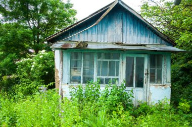 Ormanın ortasında eski mavi ahşap ev. Dışarıda yaz var. Yeşil ağaçların ve çimenlerin etrafında.