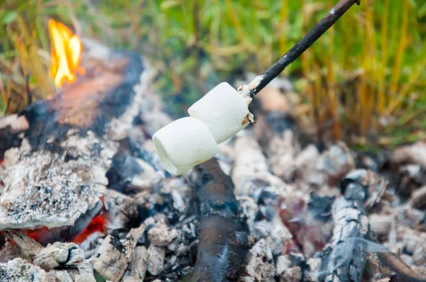 棉花糖在火上煎炸 在棍子上暑假 白色和烤 — 图库照片
