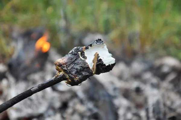 棉花糖在火上煎炸 在棍子上暑假 白色和烤 — 图库照片