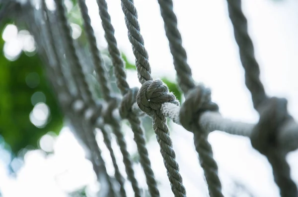 Grid Thick Cord Tensioned Rope Crossing — Stock Photo, Image