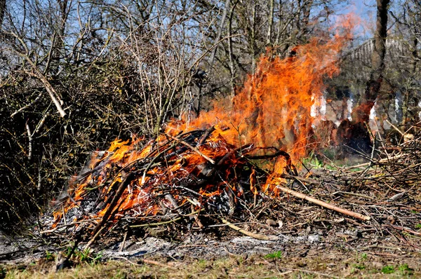 小さな乾いた枝は大きな火事で火に燃える 炎の舌 — ストック写真