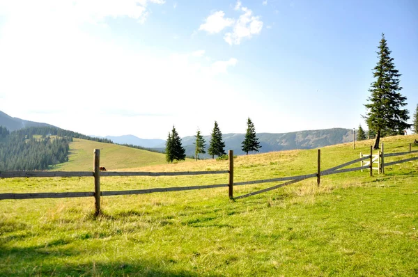 Wide Glade Mountains Covered Green Grass Blue Sky Wooden Fence — Stok fotoğraf