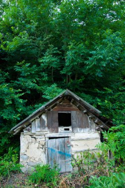 Ahşap çatılı yaşlı küçük bir ev. Ormanda yeşil ağaçların yanında. Yaz