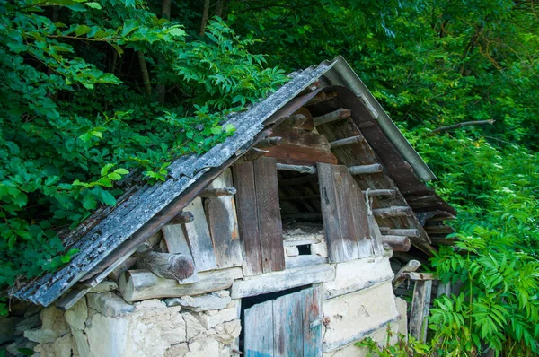 Ahşap çatılı yaşlı küçük bir ev. Ormanda yeşil ağaçların yanında. Yaz