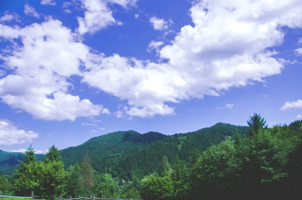森に覆われた山々 緑の木青い空と白い雲 — ストック写真