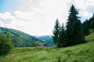 Ormanın arka planına karşı dağlarda eski ahşap ev. Yaz