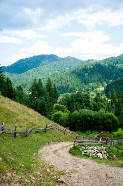 Stary Drewniany Płot Górach Las Wysokie Drzewa Góry Wzgórza Letnich — Zdjęcie stockowe