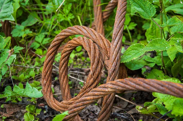 Oude Roestige Stalen Kabel Ligt Het Gras — Stockfoto