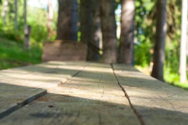 Yaz ormanındaki eski ahşap masa. Ağaçlar ve çimenler