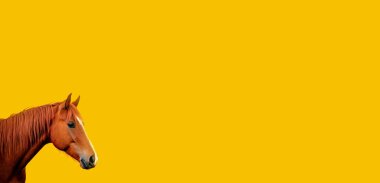 Sarı arka planda kahverengi at. At kafası ve yelesi. 2026