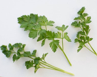 Yeşil maydanoz. Beyaz arkaplanı kapat.