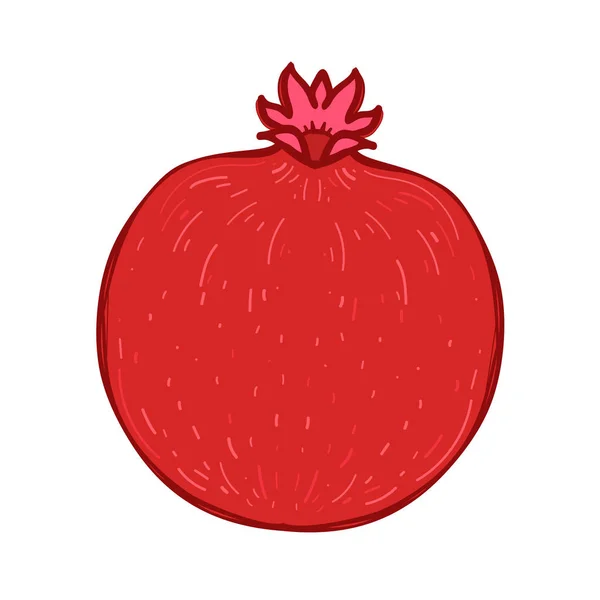 Disegno colorato stile frutta melograno rosso — Vettoriale Stock