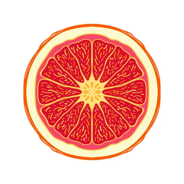 Fetta colorato schizzo stile frutta pompelmo rosso — Vettoriale Stock