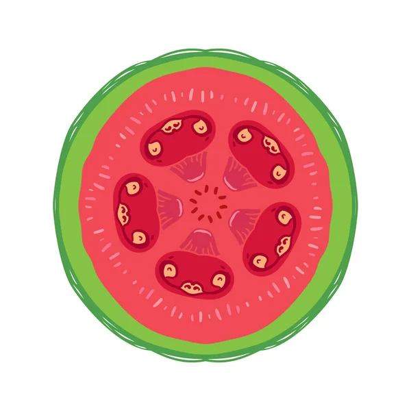 Affettato colorato schizzo stile frutta guava rossa — Vettoriale Stock
