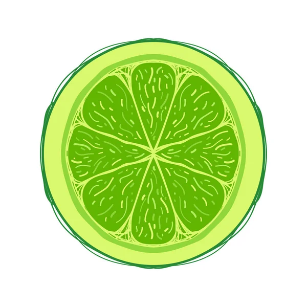 Fetta di frutta colorata stile bozzetto Lime — Vettoriale Stock