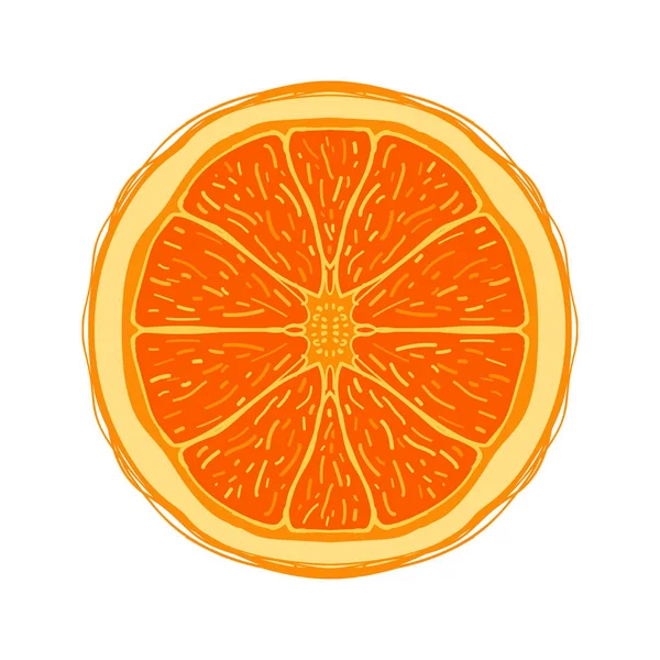 Rebanadas de color estilo boceto fruta naranja — Vector de stock