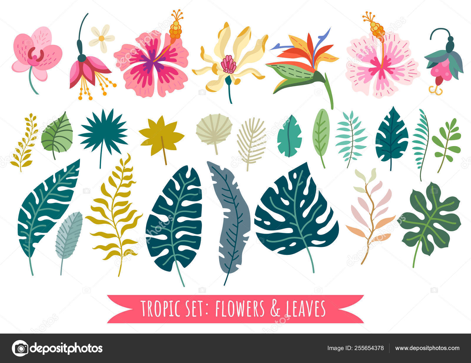 Conjunto de flores tropicales. Vector caricatura selva elementos florales  Vector de stock #255654378 de ©PictuLandra, image size:1600x1233