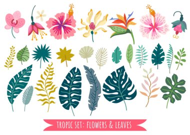 Set of tropical flowers. Vector cartoon rainforest floral elements clipart