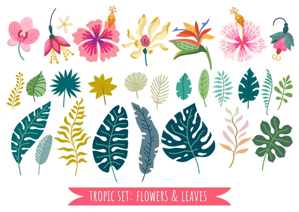 Set di fiori tropicali. Vettore cartone animato foresta pluviale elementi floreali — Vettoriale Stock