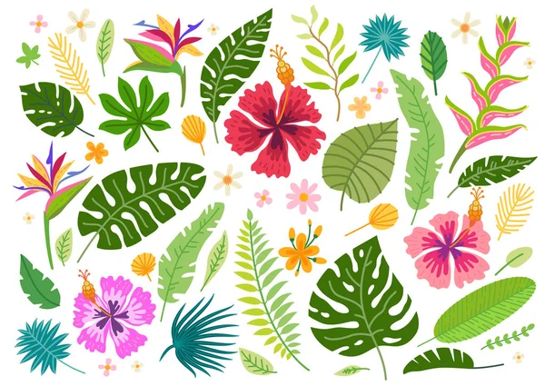 Set de desene animate vectoriale pădure tropicală elemente florale — Vector de stoc