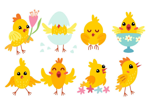 Set of cute cartoon chicken characters for easter design.