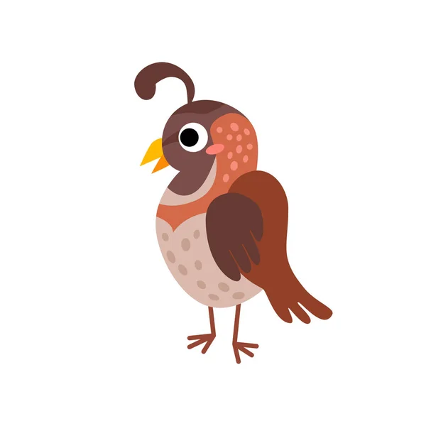 Cute animals - quail — Stock Vector