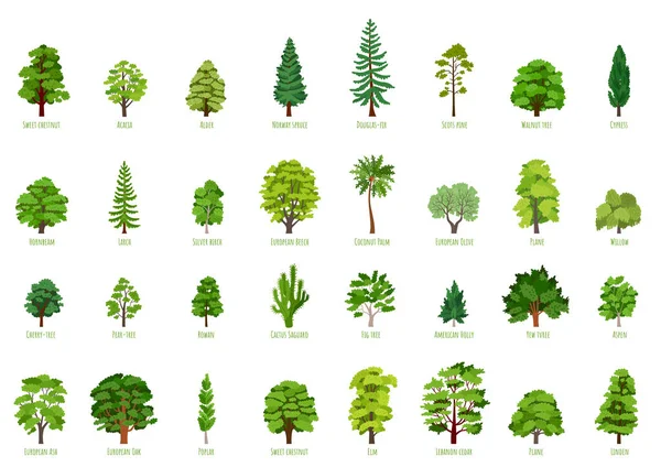 Big Vector cartoon set with trees isolated — Stock Vector
