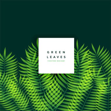 müthiş yeşil yaprakları arka plan tasarımı