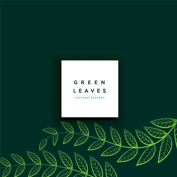 Limpio mínimo verde hojas fondo — Vector de stock