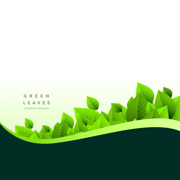 Stilvolle grüne Blätter Öko-Hintergrund — Stockvektor